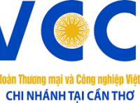 VCCI Can Tho logo